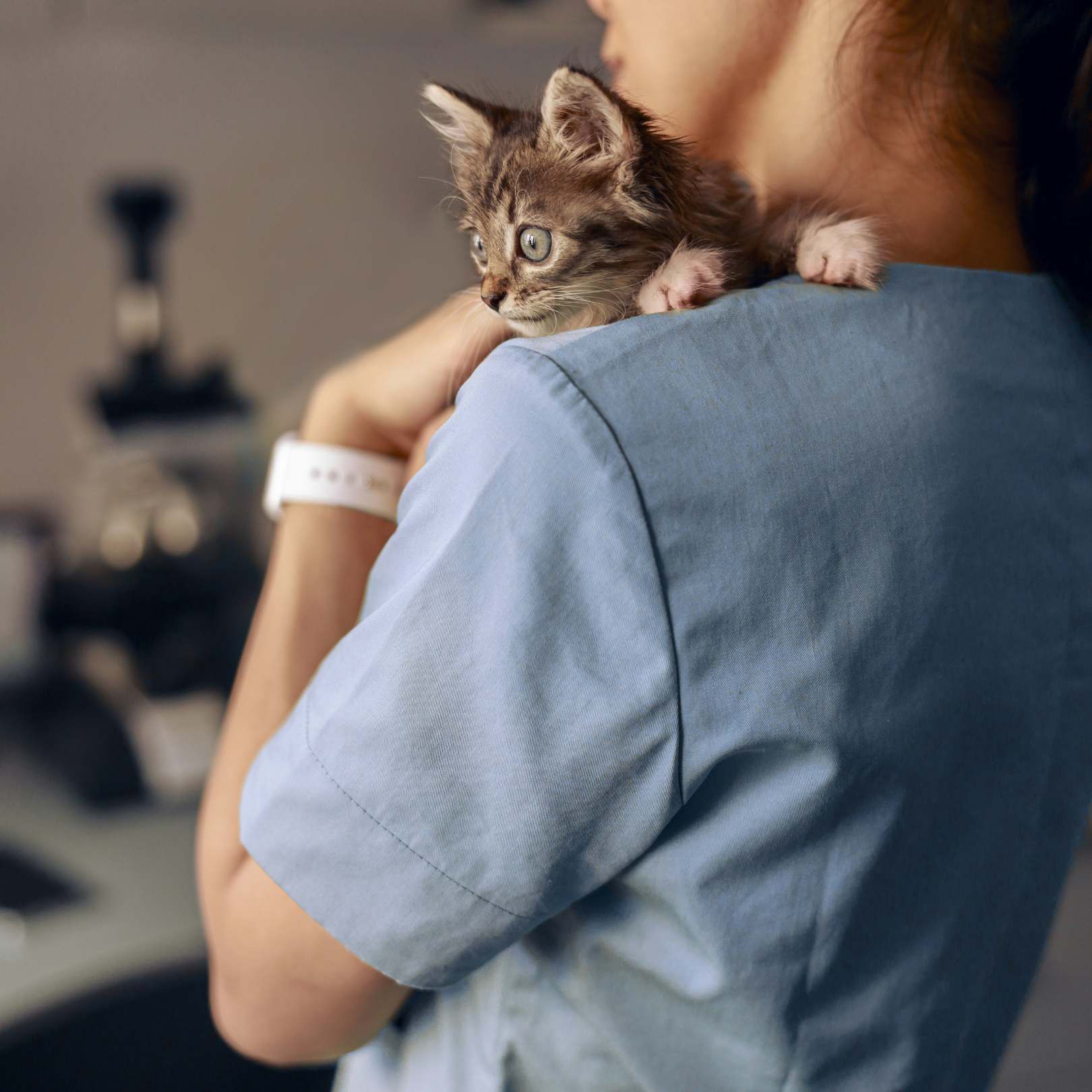 A veterian holding a cat